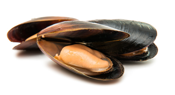 mejillones